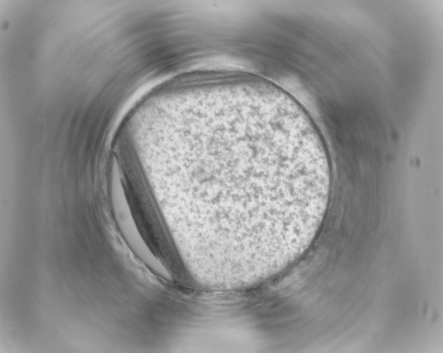 X0000088221008200706051318