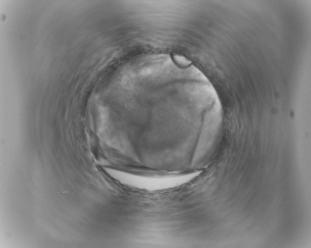 X0000088221009200706051317