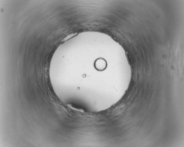 X0000088221010200706051317