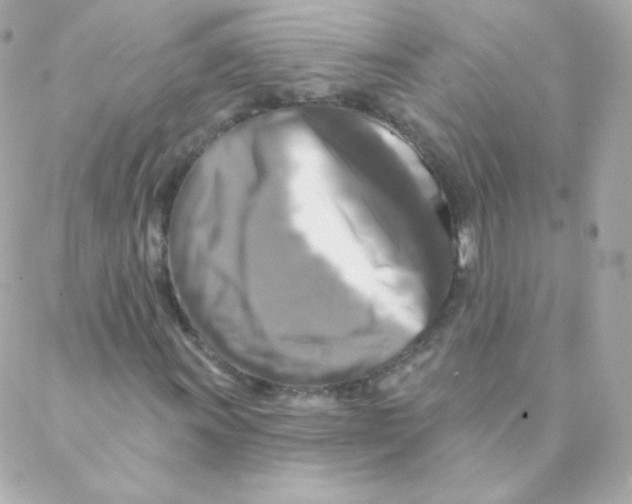 X0000088221011200706051317