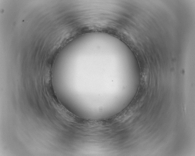 X0000088221012200706051317