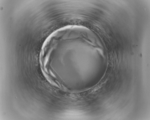 X0000088221013200706051317