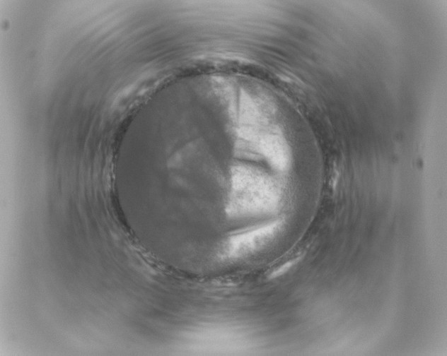 X0000088221014200706051317