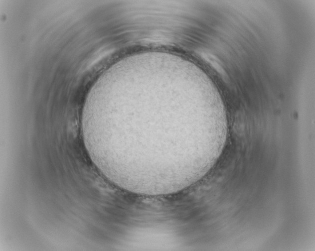 X0000088221015200706051317