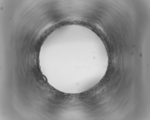 X0000088221016200706051317