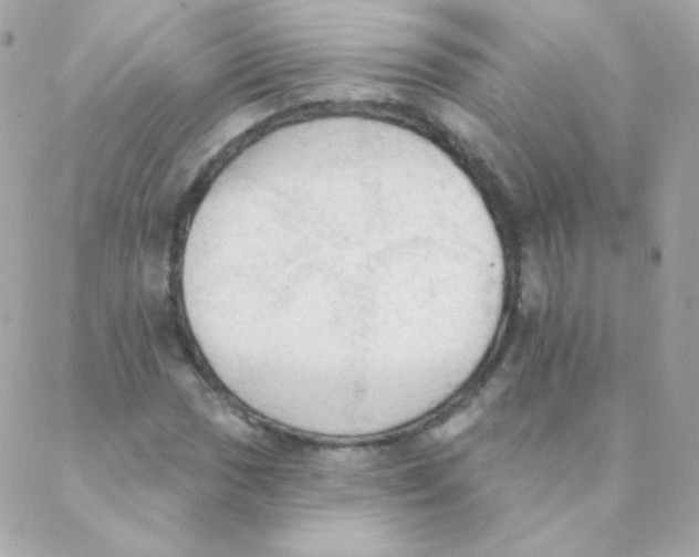 X0000088221017200706051317