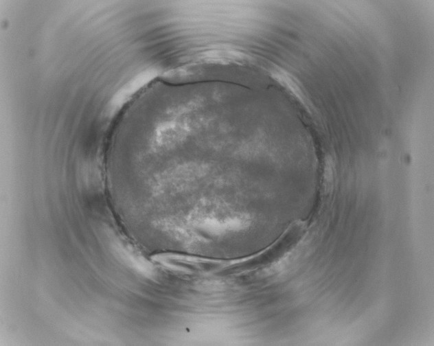 X0000088221018200706051317