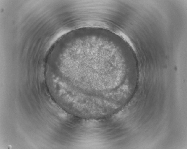 X0000088221019200706051317