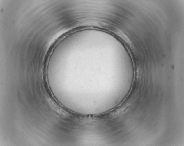 X0000088221020200706051317