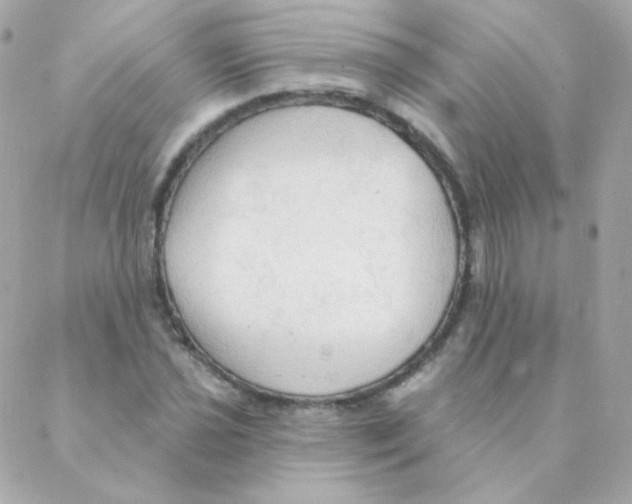 X0000088221021200706051317