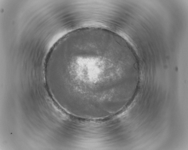 X0000088221022200706051317