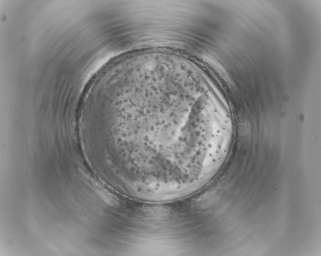 X0000088221023200706051317