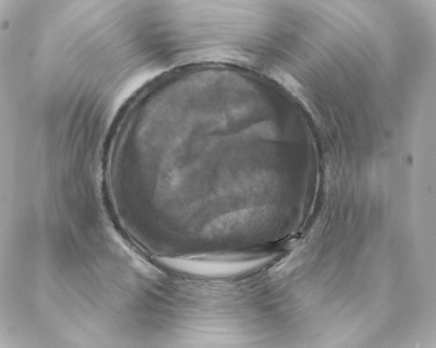 X0000088221024200706051317