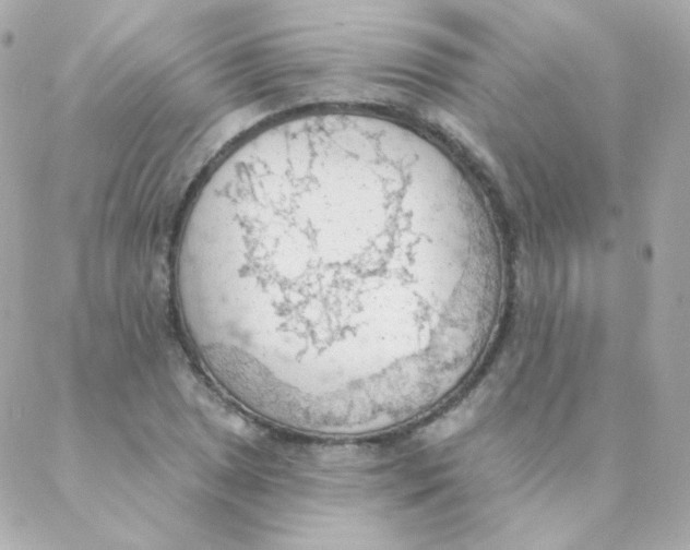 X0000088221025200706051317