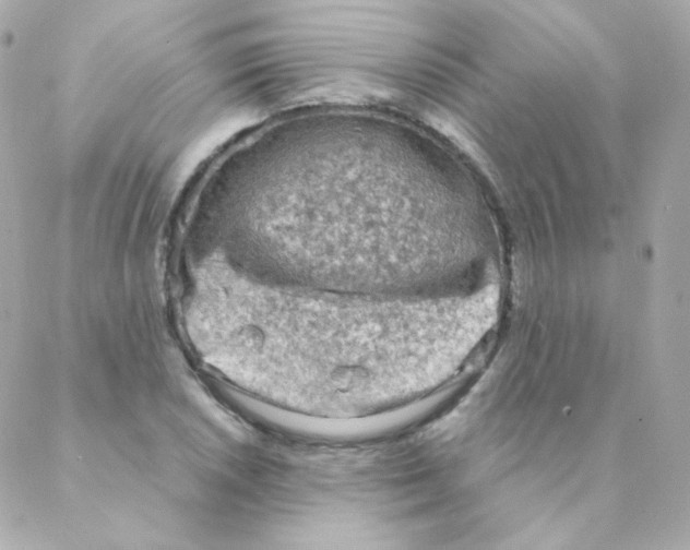 X0000088221026200706051317