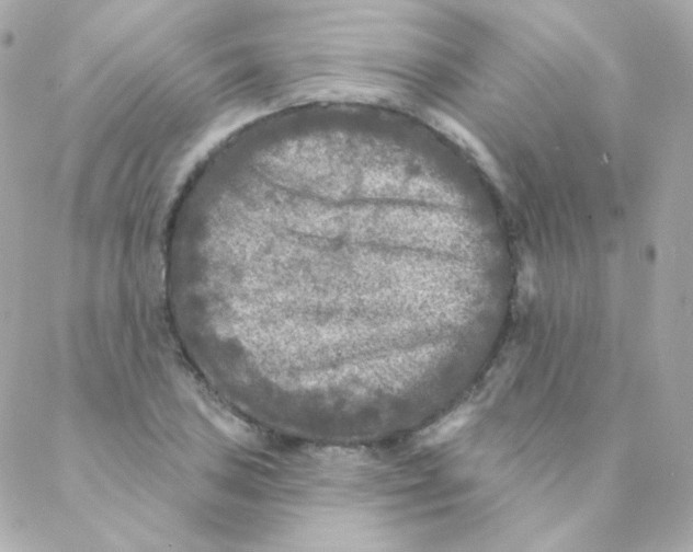 X0000088221027200706051317