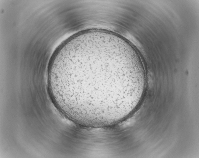 X0000088221028200706051317