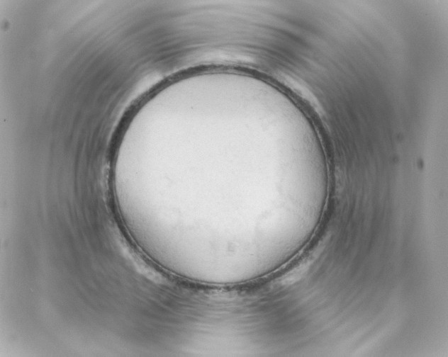 X0000088221029200706051317