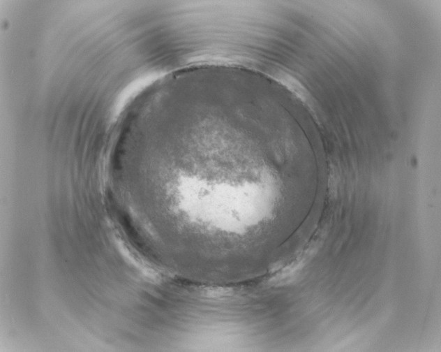 X0000088221030200706051317