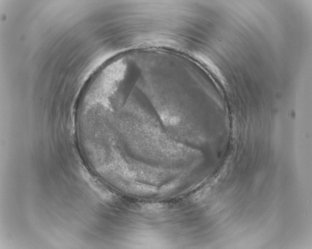 X0000088221031200706051317