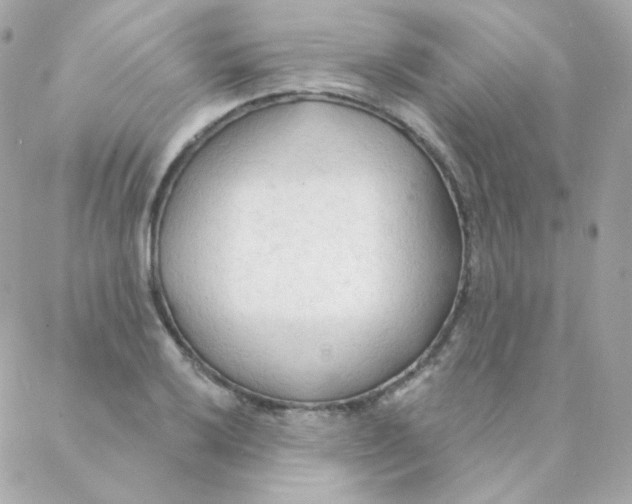 X0000088221032200706051317