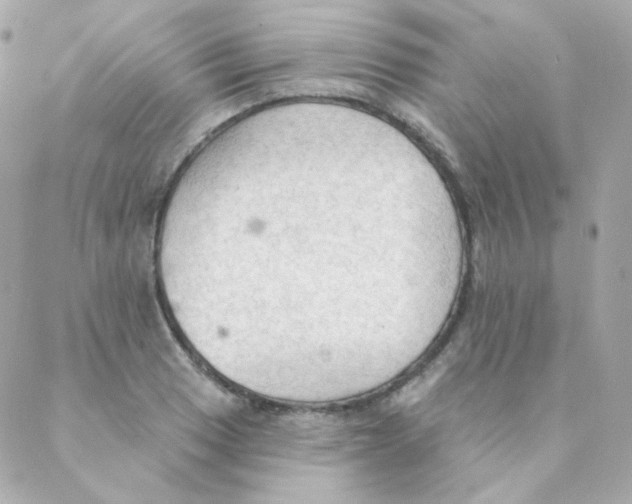 X0000088221033200706051317