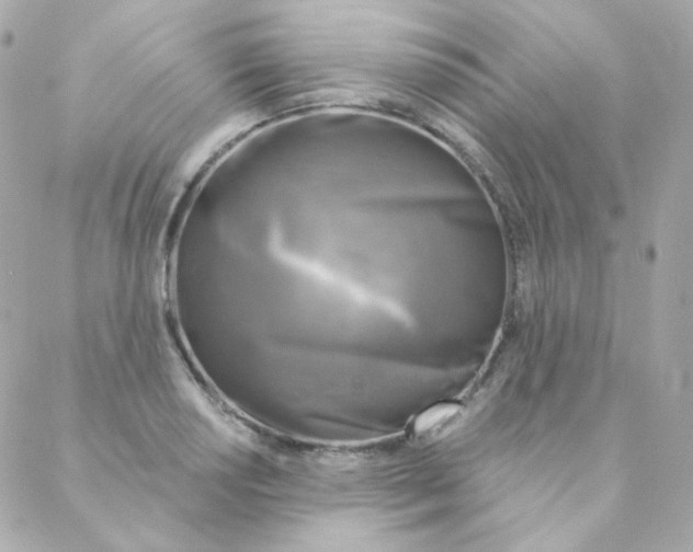 X0000088221034200706051317