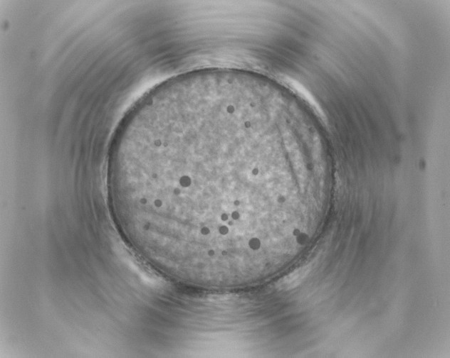 X0000088221035200706051317