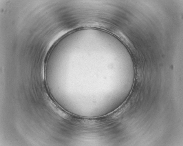 X0000088221036200706051317