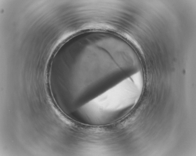 X0000088221037200706051317