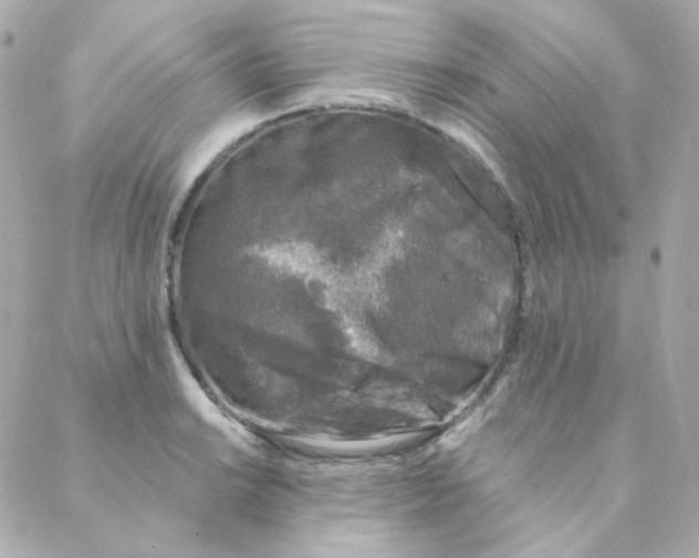 X0000088221038200706051317