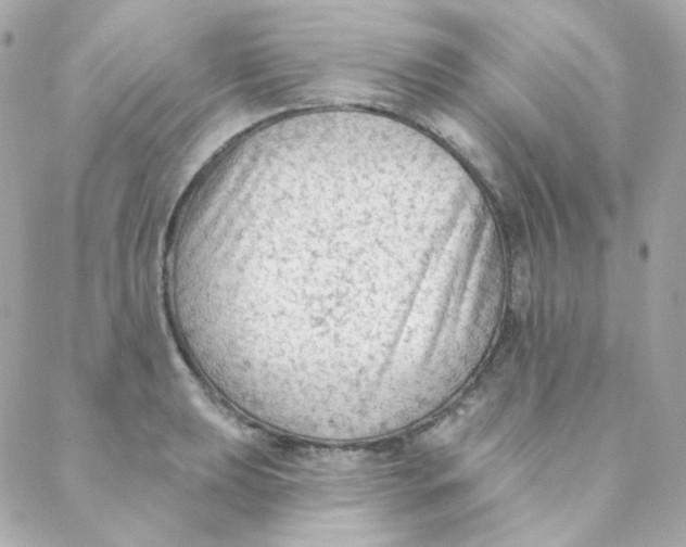 X0000088221039200706051317