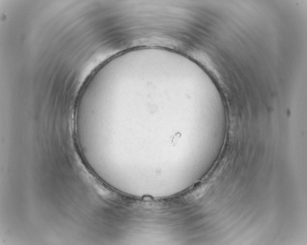 X0000088221040200706051317