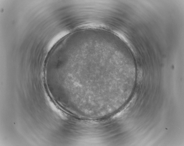 X0000088221042200706051317