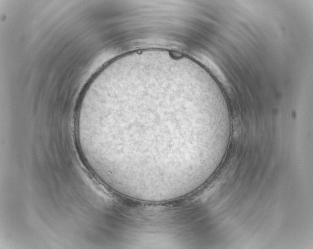 X0000088221043200706051317