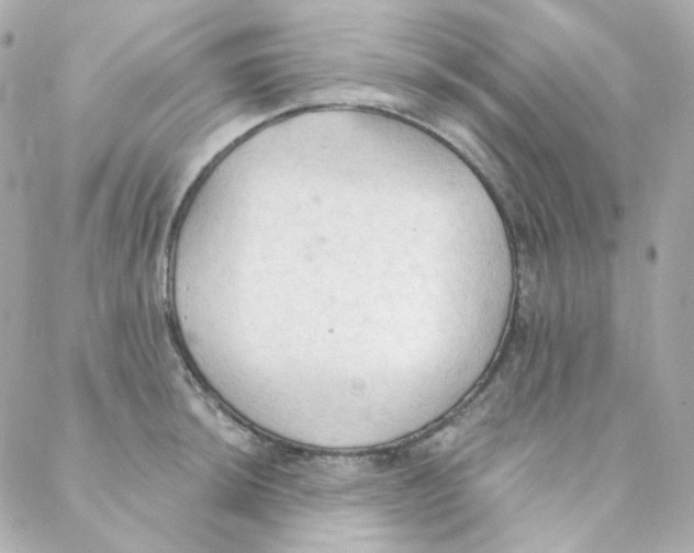 X0000088221044200706051317