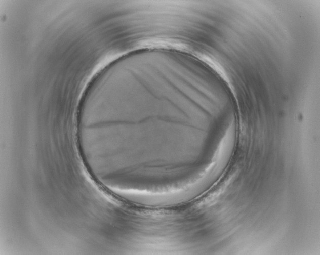 X0000088221045200706051317