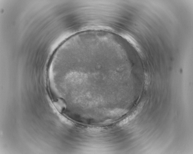 X0000088221046200706051317