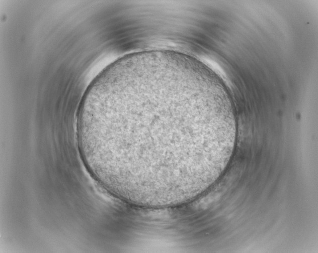 X0000088221047200706051317