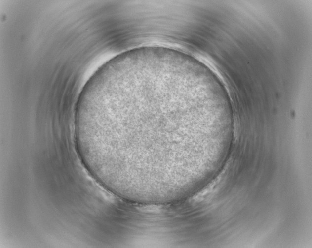 X0000088221048200706051317