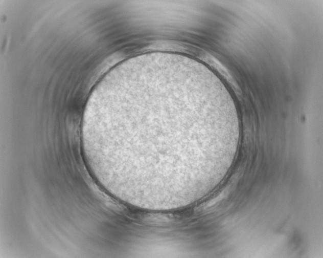 X0000088221049200706051317