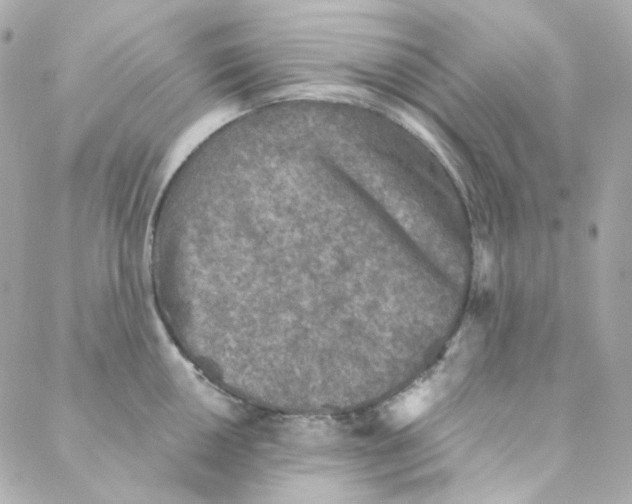 X0000088221050200706051318