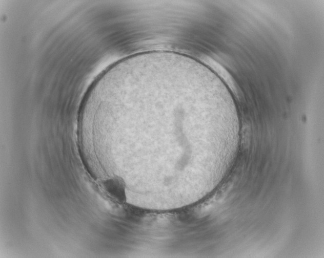 X0000088221051200706051318