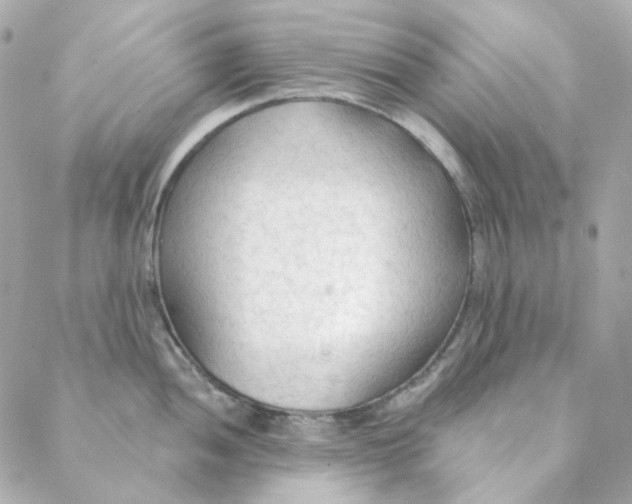 X0000088221052200706051318