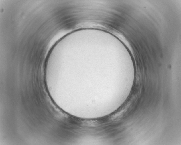 X0000088221053200706051318