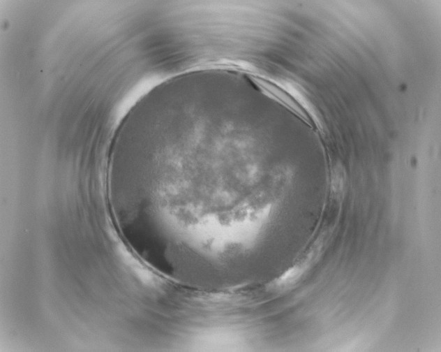 X0000088221054200706051318