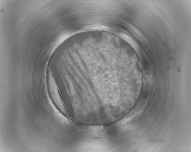 X0000088221055200706051318