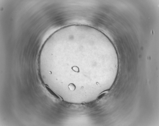 X0000088221056200706051318