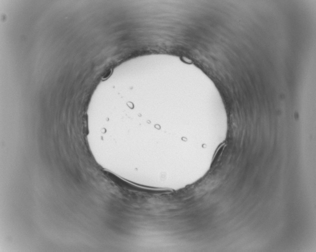 X0000088221057200706051317