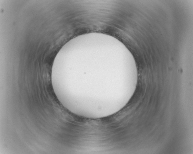 X0000088221058200706051317